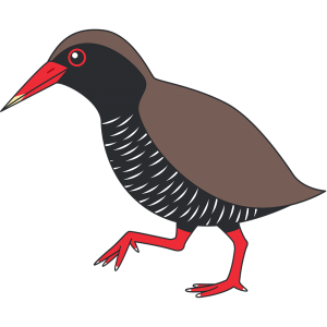 ヤンバルクイナ（鳥）