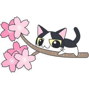 桜の木でくつろぐ白黒猫