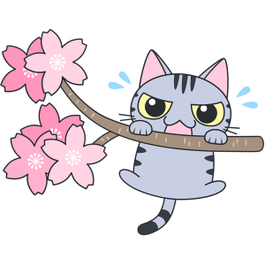桜の木から落ちそうになるサバトラ猫