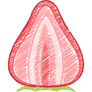 イチゴの断面（果物）の手書きイラスト