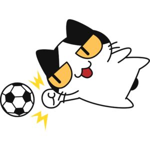 サッカー：パンチングをする猫