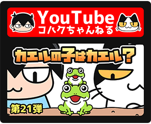 Usbハブ 無料イラスト かわいいフリー素材集 ねこ画伯コハクちゃん